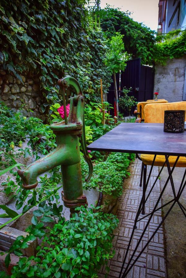 12 B&B Shkodër Exteriér fotografie